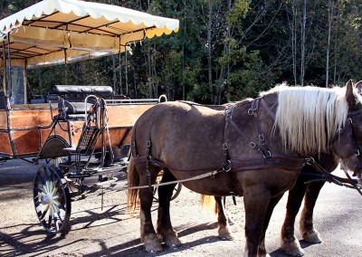 cheval 05