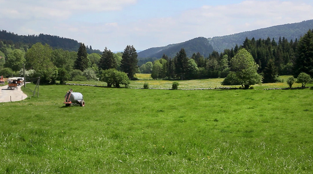 Saut du Doubs – 50 Nuances de vert