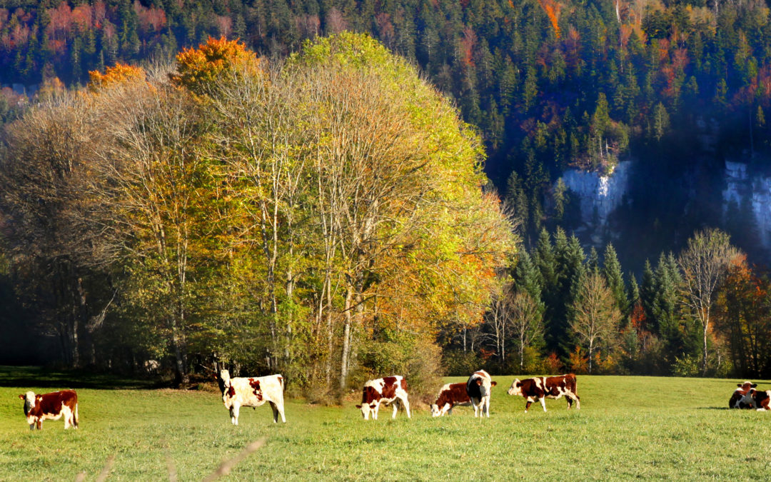 Le saut du Doubs en automne. Une très belle journée